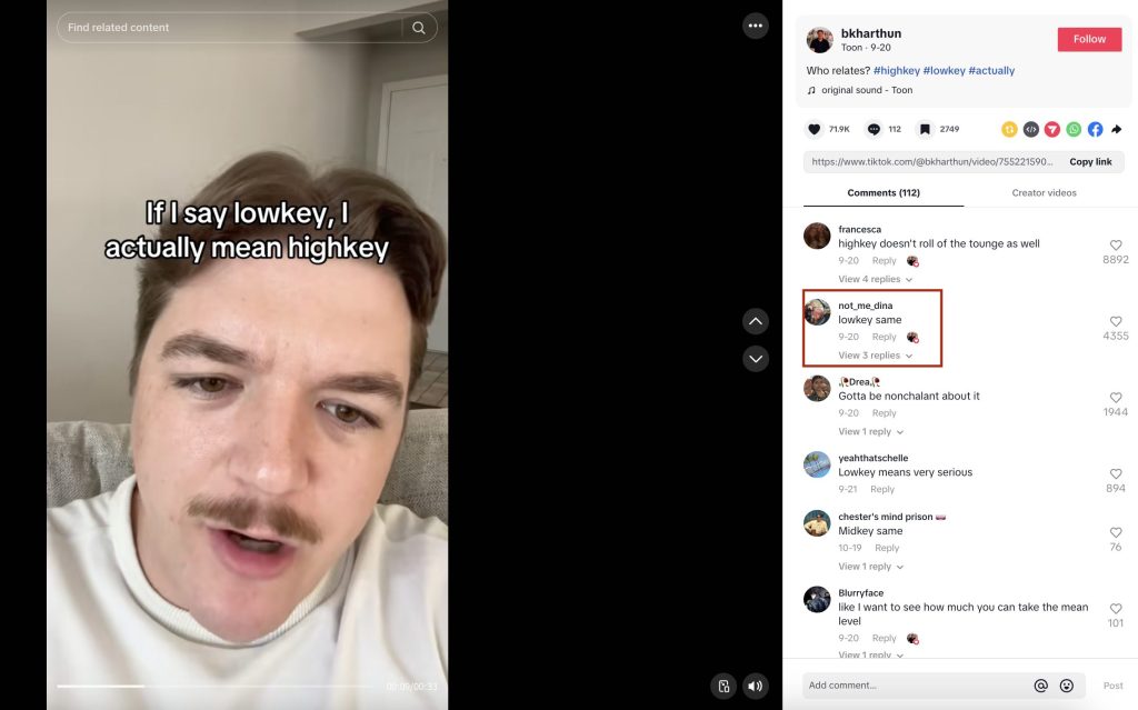 lowkey tiktok slang