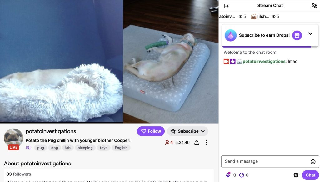 twitch livestream ideas